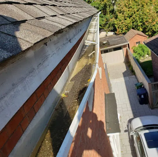 Eaves and roofline project
